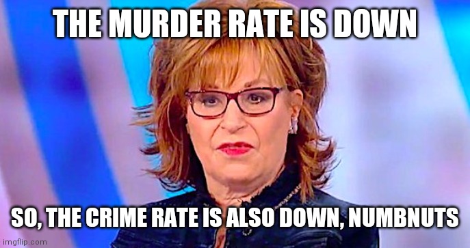 Joy Behar is Ugly | THE MURDER RATE IS DOWN SO, THE CRIME RATE IS ALSO DOWN, NUMBNUTS | image tagged in joy behar is ugly | made w/ Imgflip meme maker