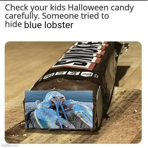 Halloween Candy | blue lobster | image tagged in halloween candy | made w/ Imgflip meme maker