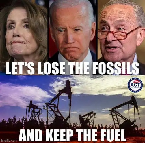 these old age fossils need to be put out to pasture. | image tagged in chuck schumer,joe biden,nancy pelosi,fuel,democrats | made w/ Imgflip meme maker