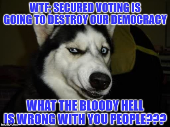 WTF Husky  | WTF; SECURED VOTING IS GOING TO DESTROY OUR DEMOCRACY; WHAT THE BLOODY HELL IS WRONG WITH YOU PEOPLE??? | image tagged in wtf husky | made w/ Imgflip meme maker