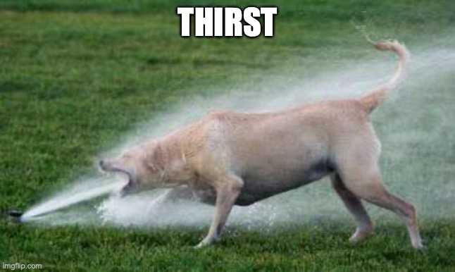 Thirsty Dog | THIRST | image tagged in thirsty dog | made w/ Imgflip meme maker