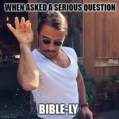 Avoiding the question |  WHEN ASKED A SERIOUS QUESTION; BIBLE-LY | image tagged in funny memes,bible,salty,answers,dumb | made w/ Imgflip meme maker