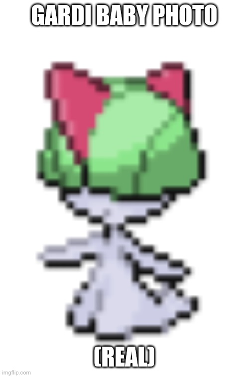 Frfrong | GARDI BABY PHOTO; (REAL) | image tagged in baby gardi | made w/ Imgflip meme maker