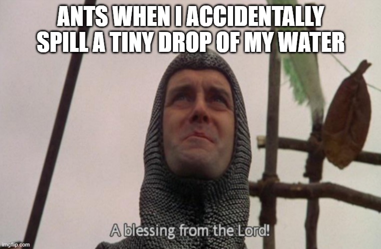 A blessing from the lord |  ANTS WHEN I ACCIDENTALLY SPILL A TINY DROP OF MY WATER | image tagged in a blessing from the lord | made w/ Imgflip meme maker