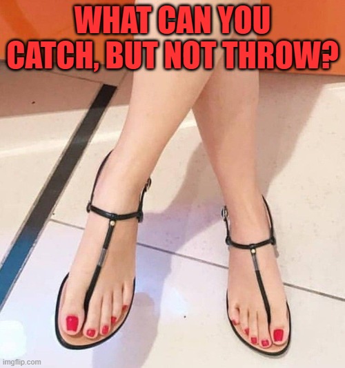 WHAT CAN YOU CATCH, BUT NOT THROW? | image tagged in riddle,feet | made w/ Imgflip meme maker