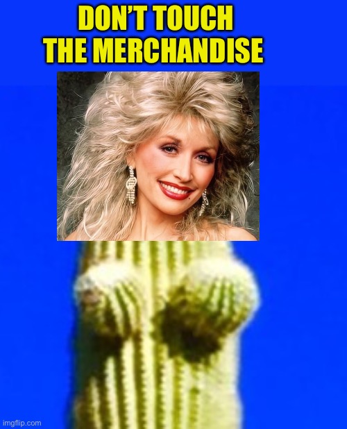 DON’T TOUCH THE MERCHANDISE | made w/ Imgflip meme maker