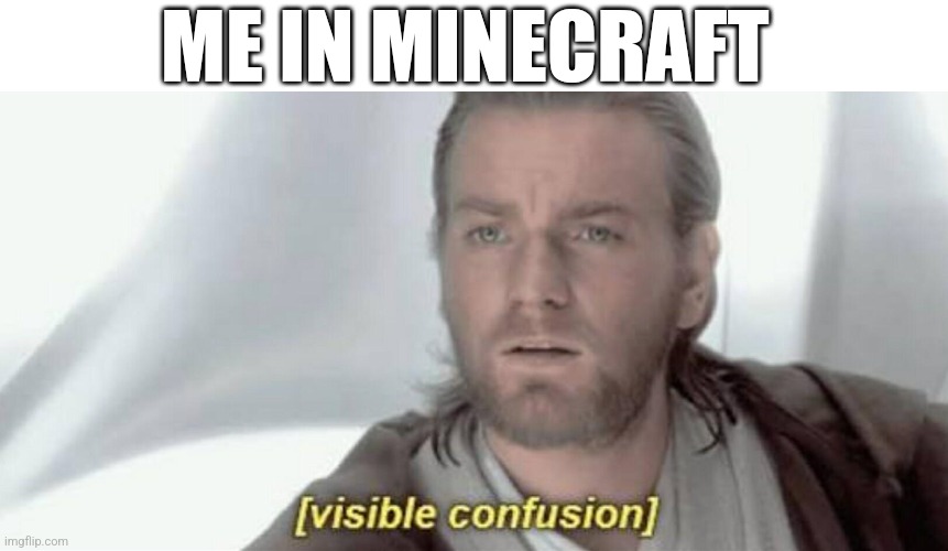 Visible Confusion | ME IN MINECRAFT | image tagged in visible confusion | made w/ Imgflip meme maker