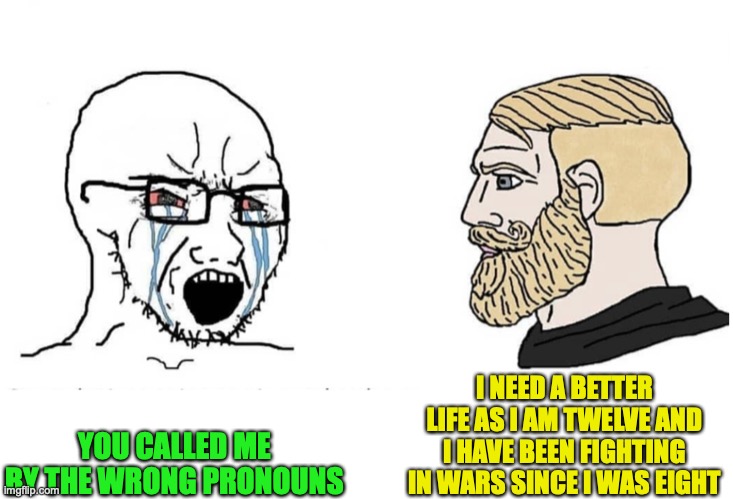 Soyboy Vs Yes Chad | YOU CALLED ME BY THE WRONG PRONOUNS I NEED A BETTER LIFE AS I AM TWELVE AND I HAVE BEEN FIGHTING IN WARS SINCE I WAS EIGHT | image tagged in soyboy vs yes chad | made w/ Imgflip meme maker