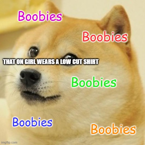 Doge Meme | Boobies; Boobies; THAT ON GIRL WEARS A LOW CUT SHIRT; Boobies; Boobies; Boobies | image tagged in memes,doge | made w/ Imgflip meme maker