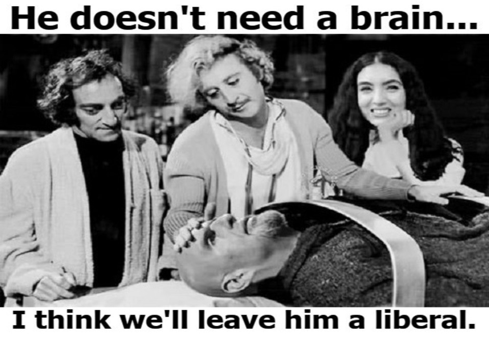 Young Fetterstein | image tagged in young frankenstein,mental illness,mental health,full retard,never go full retard,liberalism | made w/ Imgflip meme maker