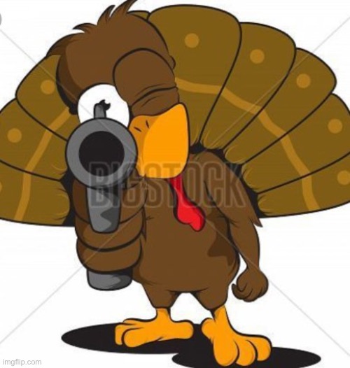 Turkey with a gun | image tagged in turkey with a gun | made w/ Imgflip meme maker
