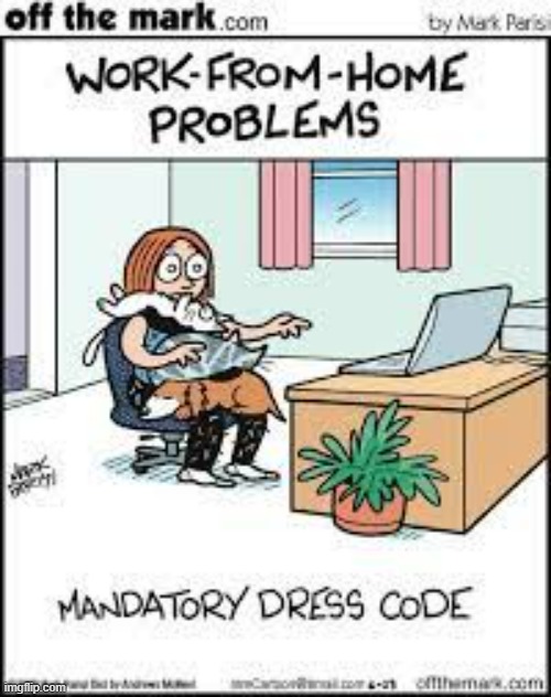 image tagged in memes,comics,cats,dogs,work from home,dress code | made w/ Imgflip meme maker
