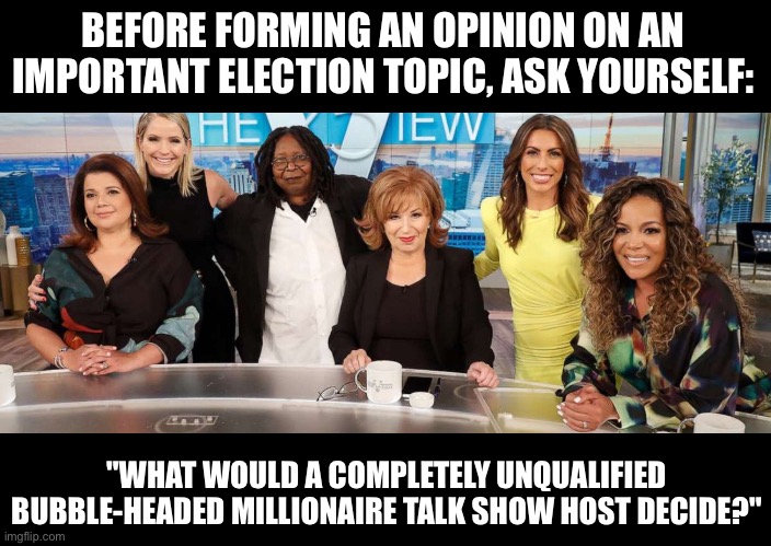 The view | BEFORE FORMING AN OPINION ON AN IMPORTANT ELECTION TOPIC, ASK YOURSELF:; "WHAT WOULD A COMPLETELY UNQUALIFIED BUBBLE-HEADED MILLIONAIRE TALK SHOW HOST DECIDE?" | image tagged in politics | made w/ Imgflip meme maker