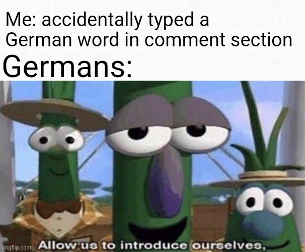 I hate it when this happens | Me: accidentally typed a German word in comment section; Germans: | image tagged in veggietales 'allow us to introduce ourselfs' | made w/ Imgflip meme maker