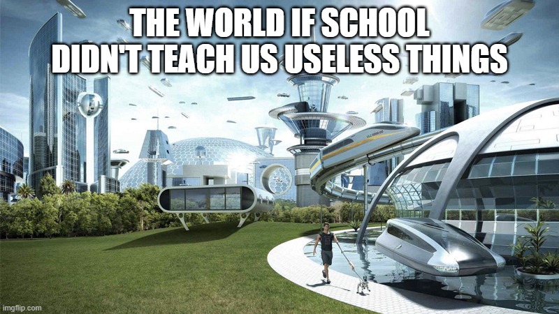 i wonder if we do use math problems in life | THE WORLD IF SCHOOL DIDN'T TEACH US USELESS THINGS | image tagged in the future world if | made w/ Imgflip meme maker