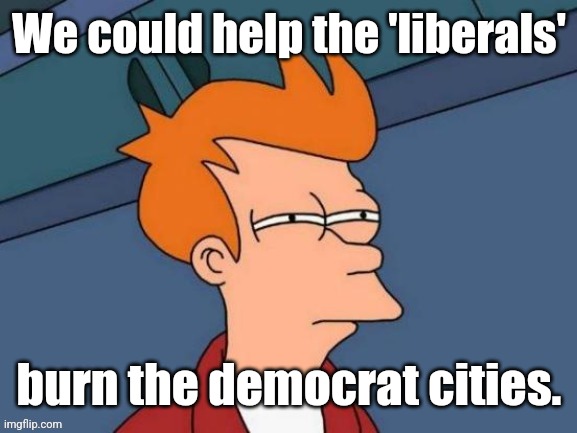 Fry is not sure... | We could help the 'liberals' burn the democrat cities. | image tagged in fry is not sure | made w/ Imgflip meme maker