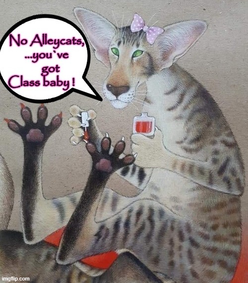 Classy creature ! | image tagged in sexy cat | made w/ Imgflip meme maker