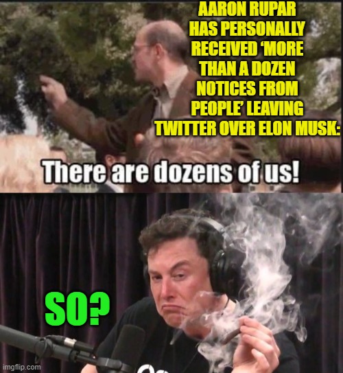 I dunno if THIS is the message that leftists want to be delivering to the nation. | AARON RUPAR HAS PERSONALLY RECEIVED ‘MORE THAN A DOZEN NOTICES FROM PEOPLE’ LEAVING TWITTER OVER ELON MUSK:; SO? | image tagged in so | made w/ Imgflip meme maker