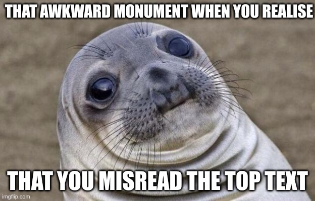 That awkward moment |  THAT AWKWARD MONUMENT WHEN YOU REALISE; THAT YOU MISREAD THE TOP TEXT | image tagged in memes,awkward moment sealion,lol | made w/ Imgflip meme maker