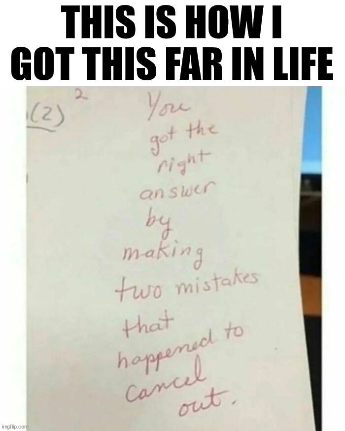 Two wrongs do make a right | THIS IS HOW I GOT THIS FAR IN LIFE | image tagged in you're doing it wrong | made w/ Imgflip meme maker