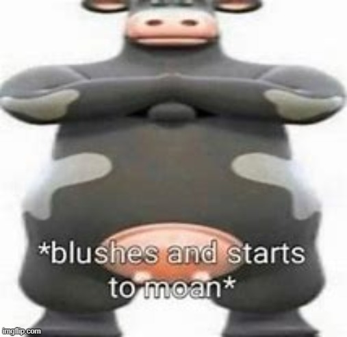 blushes and starts to moan | image tagged in blushes and starts to moan | made w/ Imgflip meme maker