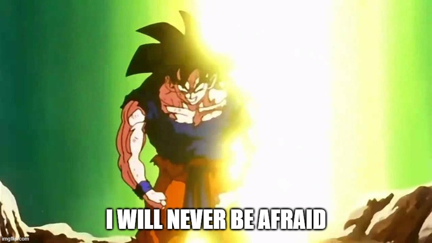 Angry Goku | I WILL NEVER BE AFRAID | image tagged in angry goku | made w/ Imgflip meme maker