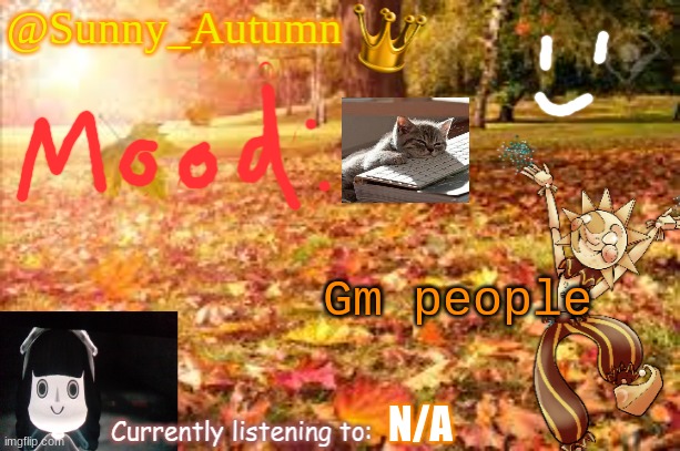 See, the good thing about my username is it applies for all of autumn lol | Gm people; N/A | image tagged in sunny_autumn sun's autumn temp | made w/ Imgflip meme maker