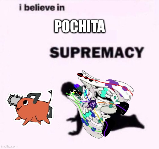 He is more of a god then the strongest True God: Chaotix | POCHITA | image tagged in i belive in supermacy | made w/ Imgflip meme maker