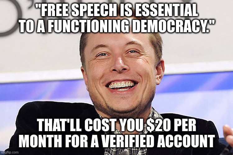 That's too much? How about $8? | "FREE SPEECH IS ESSENTIAL TO A FUNCTIONING DEMOCRACY."; THAT'LL COST YOU $20 PER MONTH FOR A VERIFIED ACCOUNT | image tagged in elon musk,twitter,free speech | made w/ Imgflip meme maker