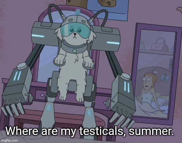 Where are my testicles summer  | Where are my testicals, summer. | image tagged in where are my testicles summer | made w/ Imgflip meme maker