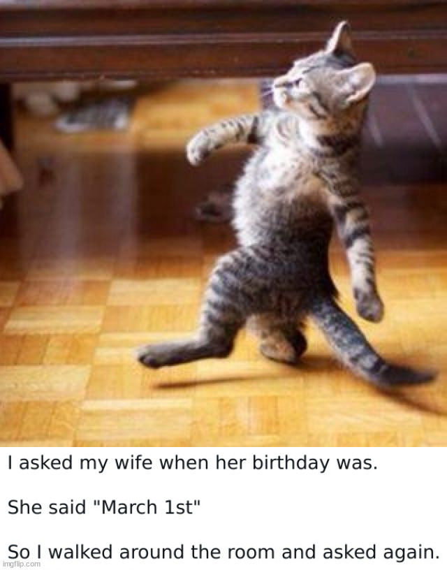 image tagged in marching cat,eyeroll | made w/ Imgflip meme maker