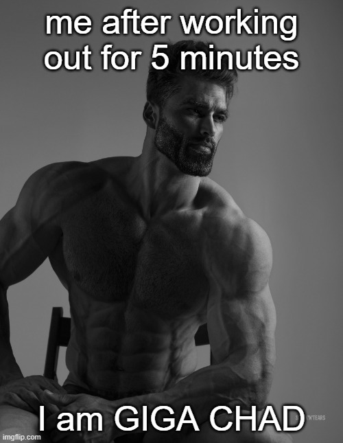 Giga Chad | me after working out for 5 minutes; I am GIGA CHAD | image tagged in giga chad | made w/ Imgflip meme maker