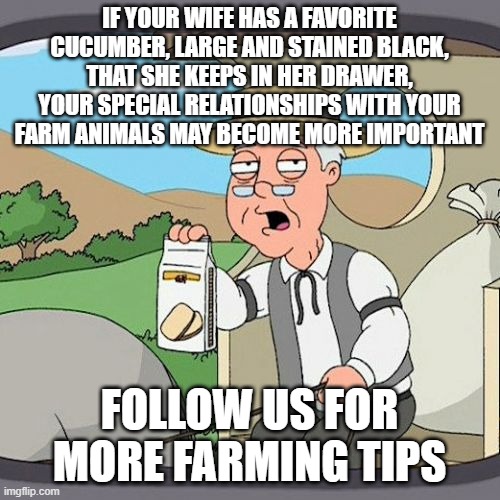 Pepperidge Farm Remembers | IF YOUR WIFE HAS A FAVORITE CUCUMBER, LARGE AND STAINED BLACK, THAT SHE KEEPS IN HER DRAWER, YOUR SPECIAL RELATIONSHIPS WITH YOUR FARM ANIMALS MAY BECOME MORE IMPORTANT; FOLLOW US FOR MORE FARMING TIPS | image tagged in memes,pepperidge farm remembers | made w/ Imgflip meme maker