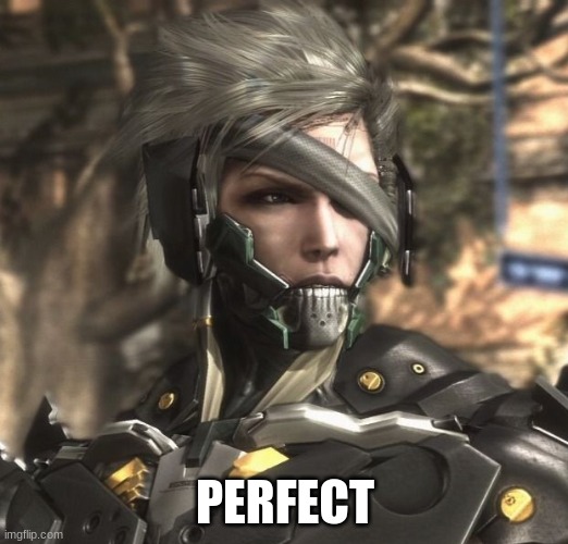 Raiden | PERFECT | image tagged in raiden | made w/ Imgflip meme maker