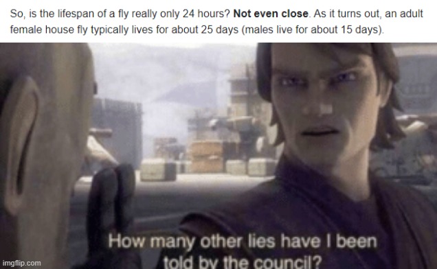 I CAN'T BELIEVE IT | image tagged in how many other lies have i been told by the council | made w/ Imgflip meme maker