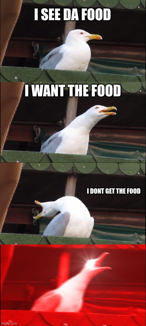 IDK | I SEE DA FOOD; I WANT THE FOOD; I DONT GET THE FOOD | image tagged in memes,inhaling seagull | made w/ Imgflip meme maker
