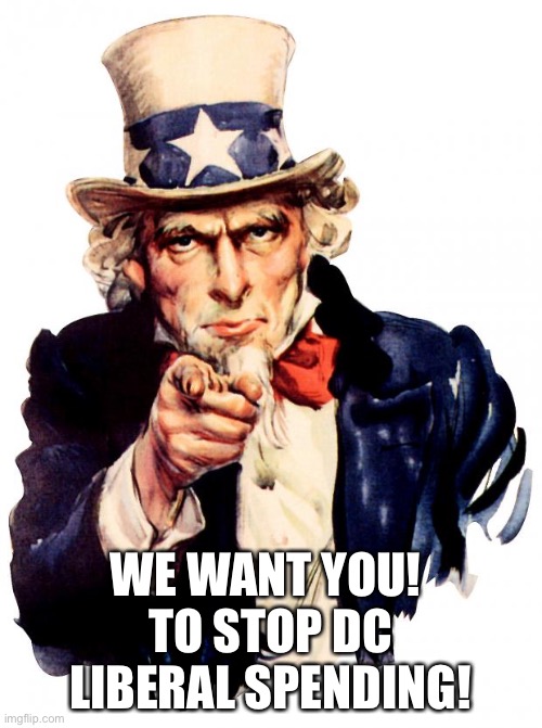 Uncle Sam Meme | WE WANT YOU! 
TO STOP DC LIBERAL SPENDING! | image tagged in memes,uncle sam,politics | made w/ Imgflip meme maker