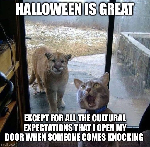 House Cat with Mountain Lion at the door | HALLOWEEN IS GREAT; EXCEPT FOR ALL THE CULTURAL EXPECTATIONS THAT I OPEN MY DOOR WHEN SOMEONE COMES KNOCKING | image tagged in house cat with mountain lion at the door | made w/ Imgflip meme maker