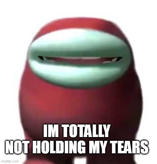 IM TOTALLY NOT HOLDING MY TEARS | image tagged in amogus sussy | made w/ Imgflip meme maker