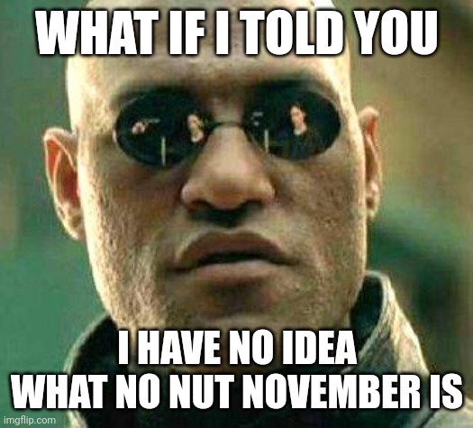 What if i told you | WHAT IF I TOLD YOU; I HAVE NO IDEA WHAT NO NUT NOVEMBER IS | image tagged in what if i told you | made w/ Imgflip meme maker