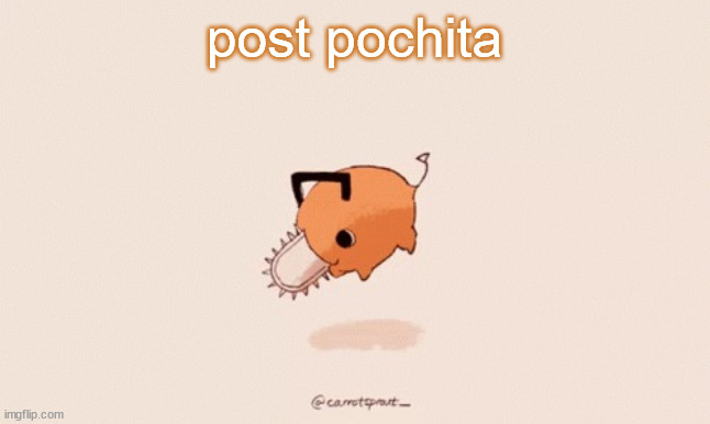 Pochita | post pochita | image tagged in pochita | made w/ Imgflip meme maker