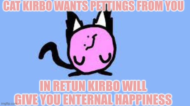 Cat Kirbo again | CAT KIRBO WANTS PETTINGS FROM YOU; IN RETURN, KIRBO WILL GIVE YOU ENTERNAL HAPPINESS | image tagged in cat,kirby | made w/ Imgflip meme maker