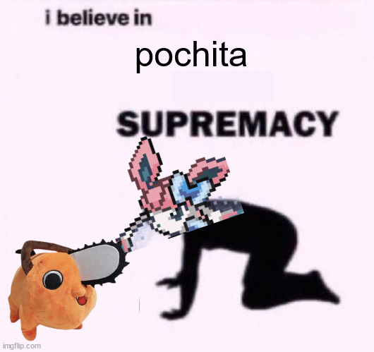 i now want aa cult for pochita | pochita | image tagged in i belive in supermacy | made w/ Imgflip meme maker