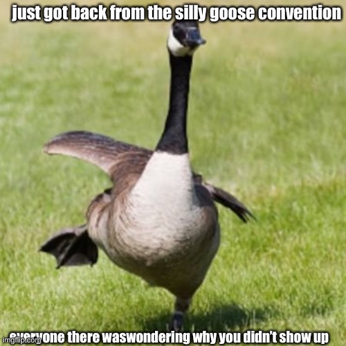 silly goose convention | just got back from the silly goose convention; everyone there was wondering why you didn’t show up | image tagged in silly goose,silly | made w/ Imgflip meme maker