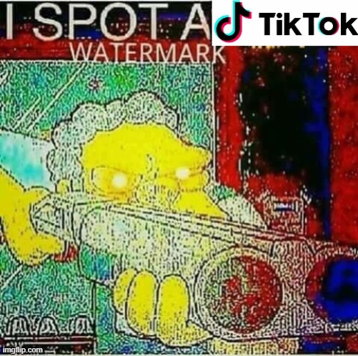I spot a TikTok watermark | image tagged in i spot a tiktok watermark | made w/ Imgflip meme maker