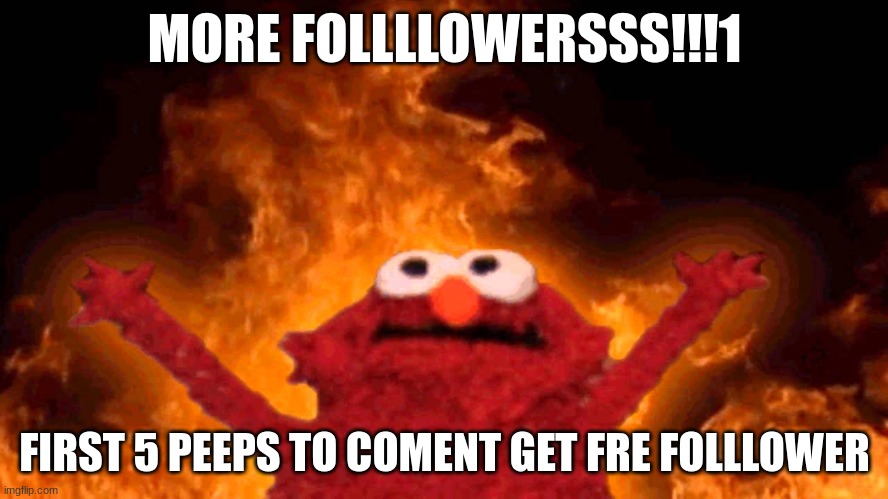 MoRe FolLoWeRs!1!!!!11! | MORE FOLLLLOWERSSS!!!1; FIRST 5 PEEPS TO COMENT GET FRE FOLLLOWER | image tagged in elmo fire | made w/ Imgflip meme maker