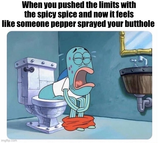 When you pushed the limits with the spicy spice and now it feels like someone pepper sprayed your butthole | image tagged in regrettable moments | made w/ Imgflip meme maker