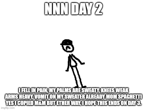 NNN day 2 | NNN DAY 2; I FELL IN PAIN, MY PALMS ARE SWEATY, KNEES WEAK ARMS HEAVY, VOMIT ON MY SWEATER ALREADY MOM SPAGHETTI YES I COPIED M&M BUT ETHER WAY, I HOPE THIS ENDS ON DAY 3. | image tagged in nnn | made w/ Imgflip meme maker