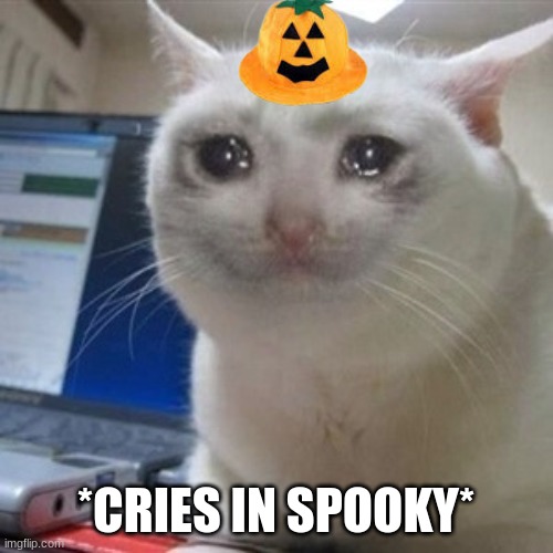 Crying cat | *CRIES IN SPOOKY* | image tagged in crying cat | made w/ Imgflip meme maker