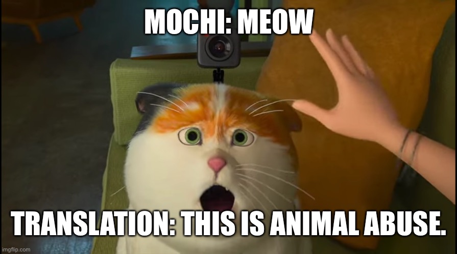This is Animal Abuse | MOCHI: MEOW; TRANSLATION: THIS IS ANIMAL ABUSE. | image tagged in big hero 6,mochi,cartoons,cartoon cat,funny memes,disney | made w/ Imgflip meme maker